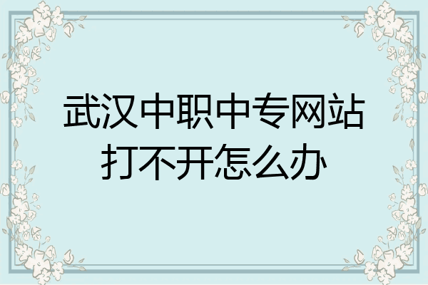 武汉中职中专网站打不开怎么办
