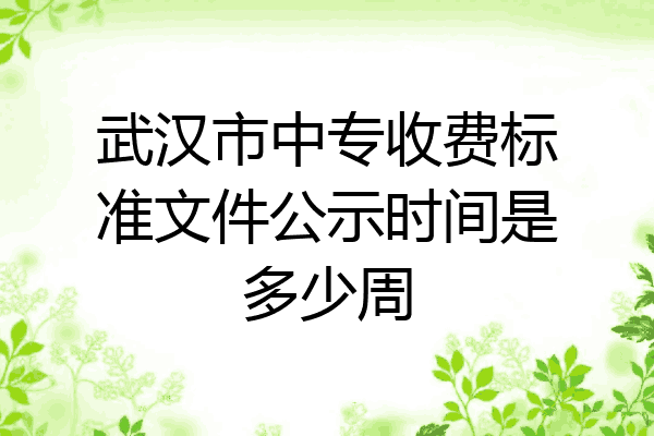 武汉市中专收费标准文件公示时间是多少周