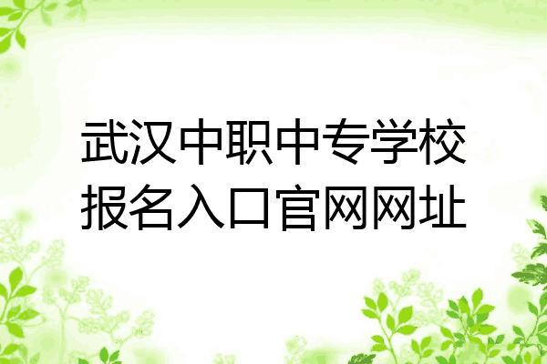 武汉中职中专学校报名入口官网网址