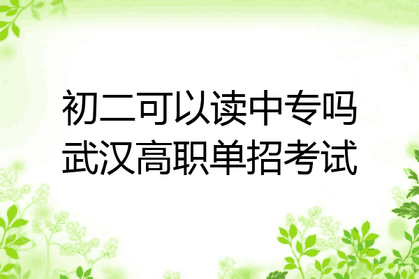初二可以读中专吗武汉高职单招考试