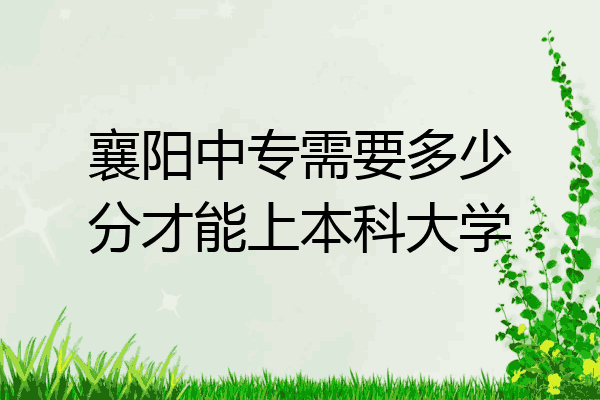 襄阳中专需要多少分才能上本科大学