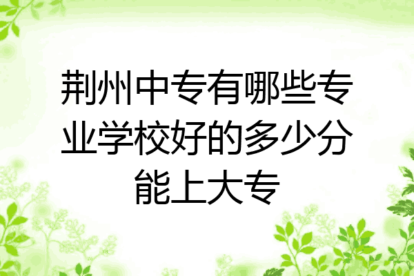 荆州中专有哪些专业学校好的多少分能上大专