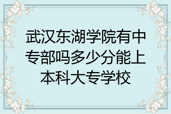 武汉东湖学院有中专部吗多少分能上本科大专学校