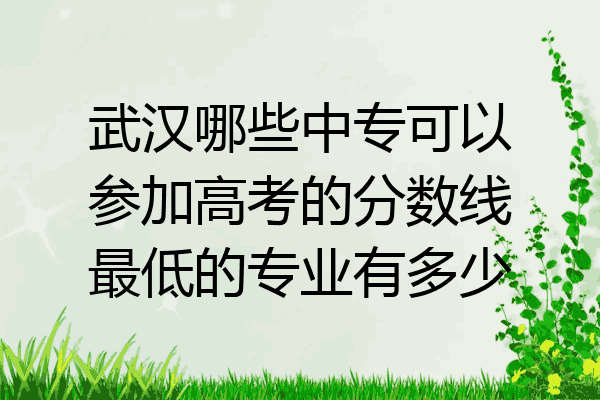 武汉哪些中专可以参加高考的分数线最低的专业有多少
