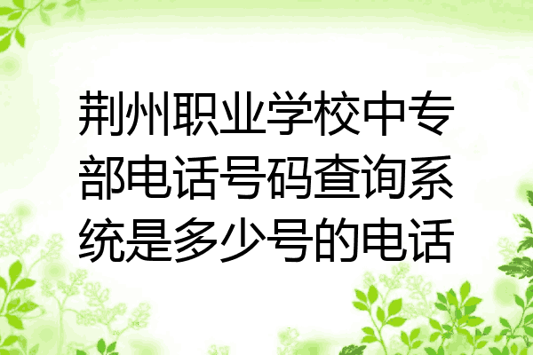 荆州职业学校中专部电话号码查询系统是多少号的电话