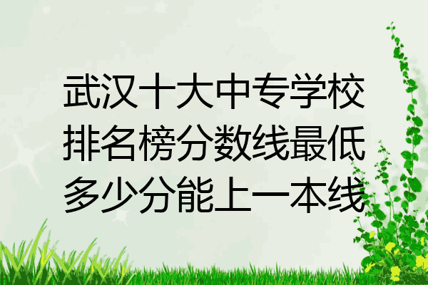 武汉十大中专学校排名榜分数线最低多少分能上一本线