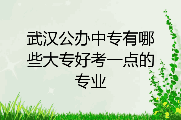 武汉公办中专有哪些大专好考一点的专业