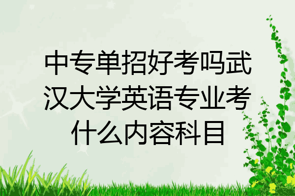 中专单招好考吗武汉大学英语专业考什么内容科目