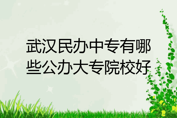 武汉民办中专有哪些公办大专院校好