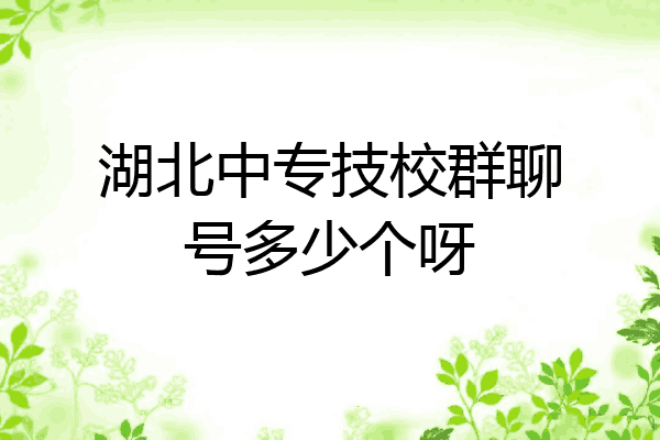 湖北中专技校群聊号多少个呀