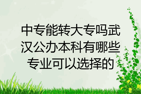 中专能转大专吗武汉公办本科有哪些专业可以选择的