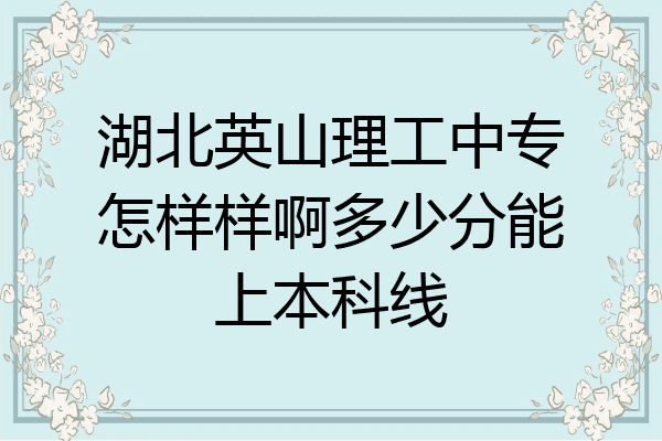 湖北英山理工中专怎样样啊多少分能上本科线