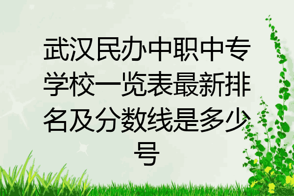 武汉民办中职中专学校一览表最新排名及分数线是多少号