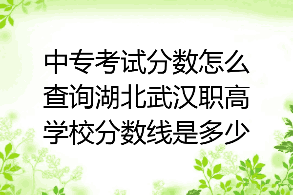 中专考试分数怎么查询湖北武汉职高学校分数线是多少