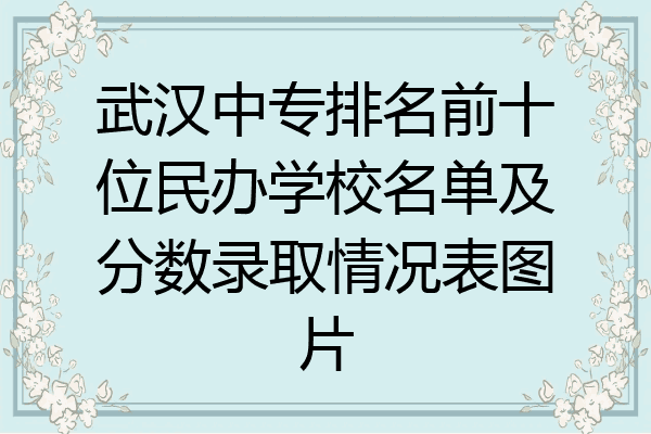 武汉中专排名前十位民办学校名单及分数录取情况表图片