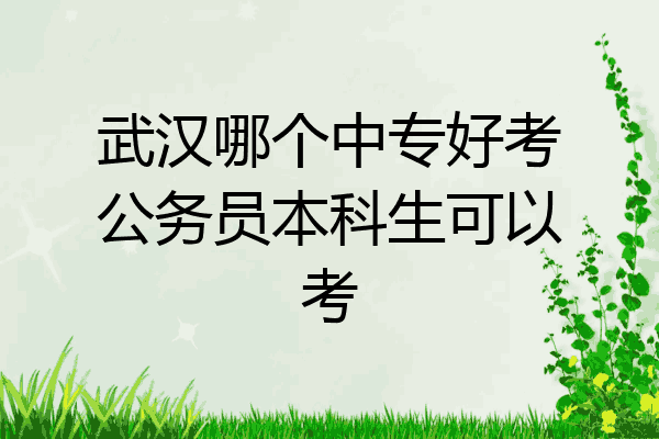 武汉哪个中专好考公务员本科生可以考