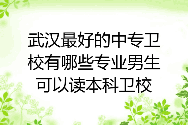 武汉最好的中专卫校有哪些专业男生可以读本科卫校