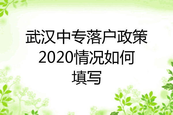 武汉中专落户政策2020情况如何填写