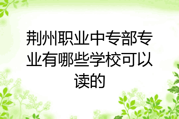 荆州职业中专部专业有哪些学校可以读的