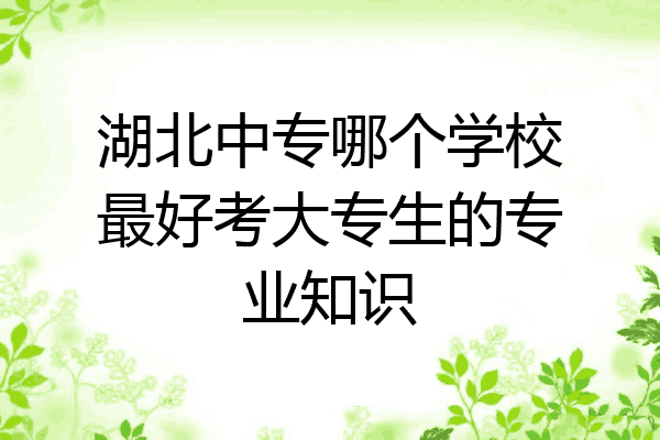 湖北中专哪个学校最好考大专生的专业知识