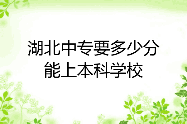 湖北中专要多少分能上本科学校