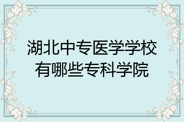 湖北中专医学学校有哪些专科学院