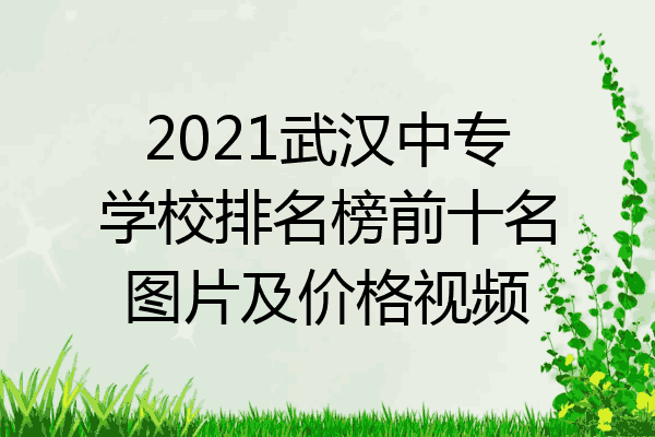2021武汉中专学校排名榜前十名图片及价格视频