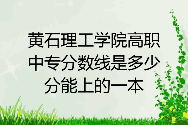黄石理工学院高职中专分数线是多少分能上的一本