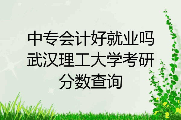 中专会计好就业吗武汉理工大学考研分数查询