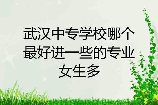 武汉中专学校哪个最好进一些的专业女生多
