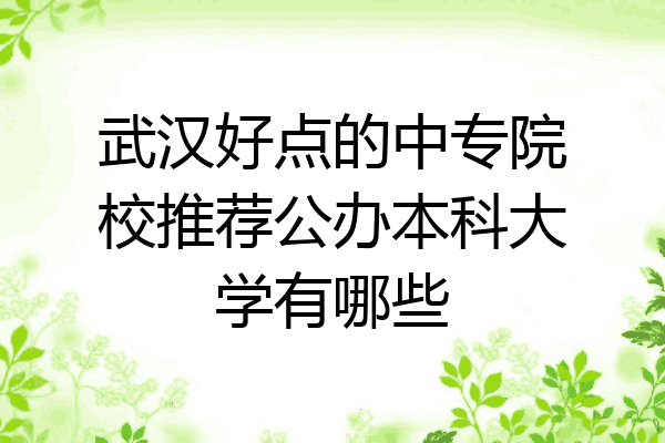 武汉好点的中专院校推荐公办本科大学有哪些