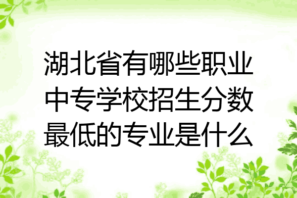 湖北省有哪些职业中专学校招生分数最低的专业是什么