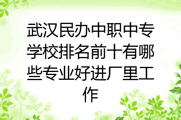 武汉民办中职中专学校排名前十有哪些专业好进厂里工作