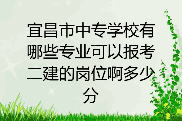 宜昌市中专学校有哪些专业可以报考二建的岗位啊多少分