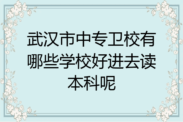 武汉市中专卫校有哪些学校好进去读本科呢