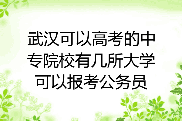 武汉可以高考的中专院校有几所大学可以报考公务员