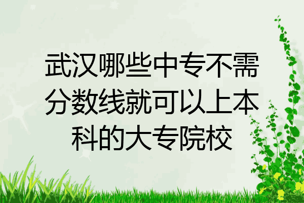 武汉哪些中专不需分数线就可以上本科的大专院校