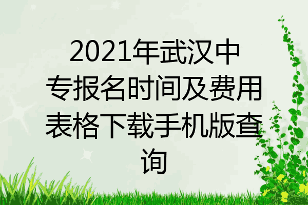 2021年武汉中专报名时间及费用表格下载手机版查询