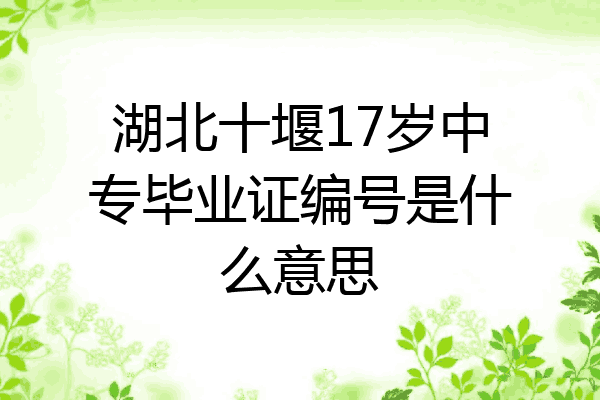 湖北十堰17岁中专毕业证编号是什么意思