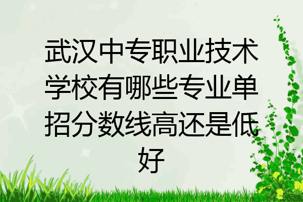 武汉中专职业技术学校有哪些专业单招分数线高还是低好
