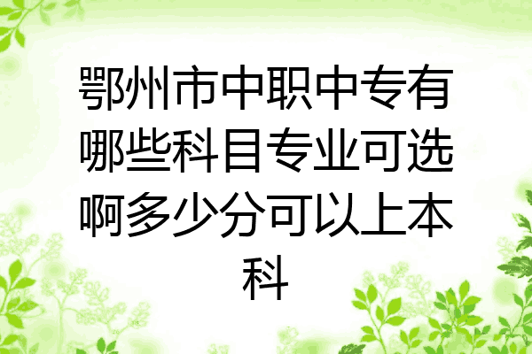 鄂州市中职中专有哪些科目专业可选啊多少分可以上本科