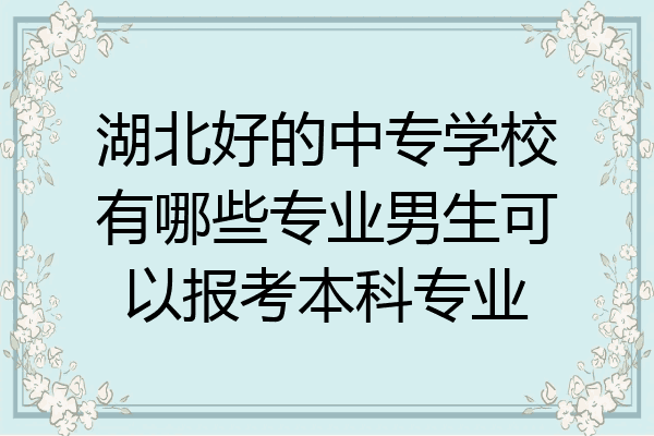湖北好的中专学校有哪些专业男生可以报考本科专业