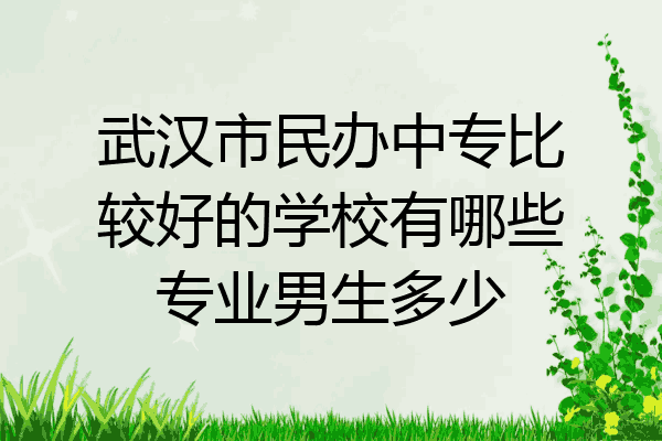 武汉市民办中专比较好的学校有哪些专业男生多少
