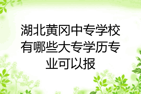 湖北黄冈中专学校有哪些大专学历专业可以报