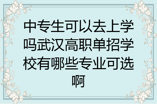 中专生可以去上学吗武汉高职单招学校有哪些专业可选啊