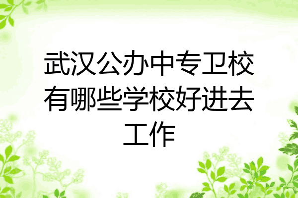 武汉公办中专卫校有哪些学校好进去工作