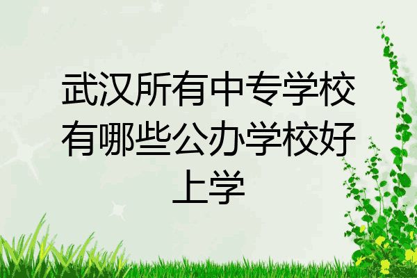 武汉所有中专学校有哪些公办学校好上学