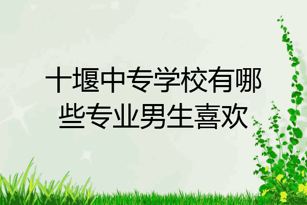 十堰中专学校有哪些专业男生喜欢