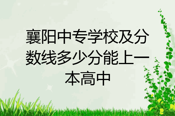 襄阳中专学校及分数线多少分能上一本高中