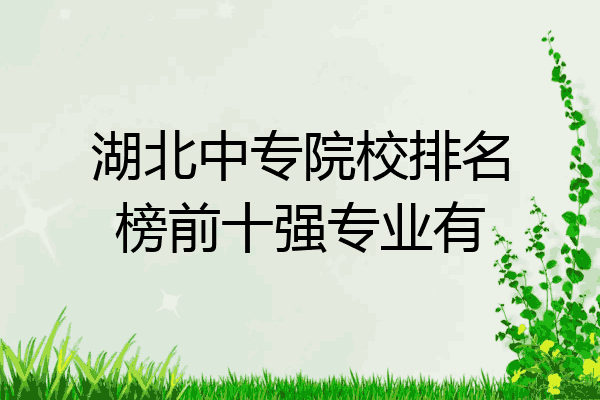 湖北中专院校排名榜前十强专业有